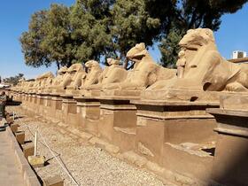 Widderköpfige Sphinxen in Karnak - Ägypten | Wladimir